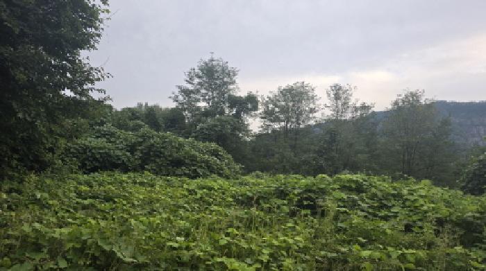 칠곡군 가산면 학산리 임야 경매 물건 사진