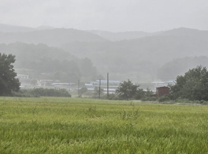 영천시 북안면 용계리 답 경매 물건 사진