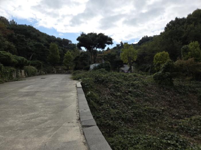 경산시 남산면 상대리 임야 경매 물건 사진