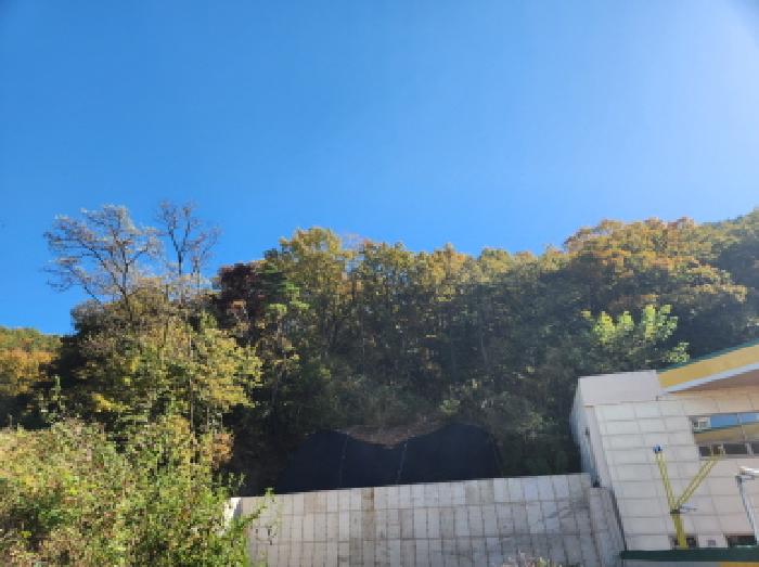 북구 매천동 산88-6 임야 경매 물건 사진