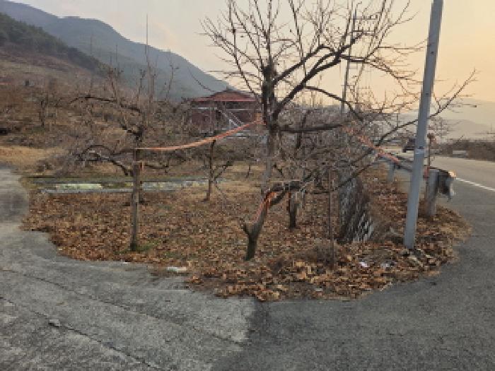 청도군 청도읍 부야리 단독주택 경매 물건 사진