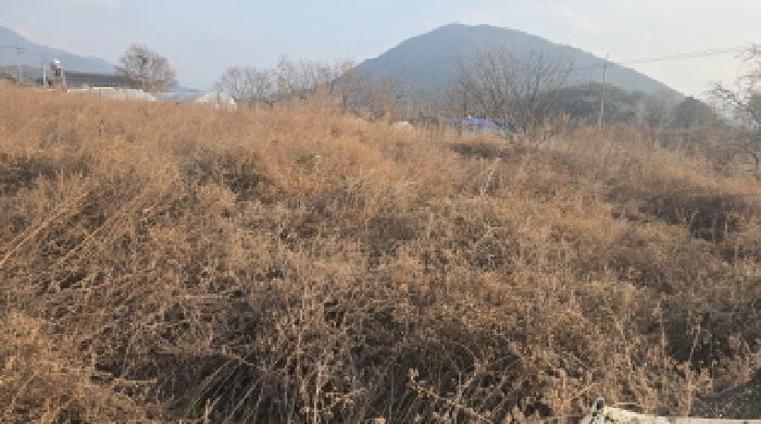 칠곡군 동명면 남원리 전 경매 물건 사진