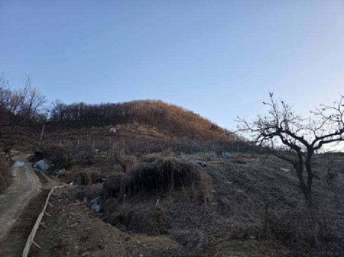 청도군 화양읍 다로리 대지,임야,전답 경매 물건 사진