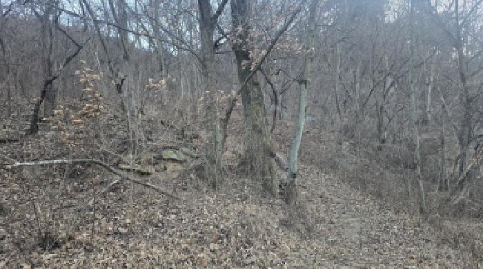 칠곡군 기산면 죽전리 대지,임야,전답 경매 물건 사진