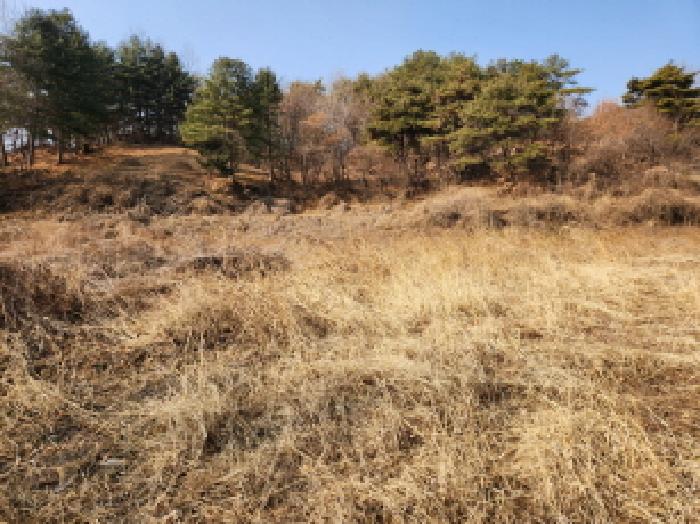 영천시 화북면 상송리 대지,임야,전답 경매 물건 사진