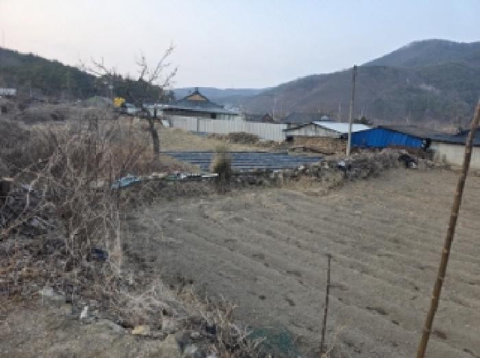 청도군 금천면 사전리 대지 경매 물건 사진