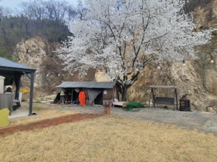 동구 덕곡동 384-2 전답 경매 물건 사진