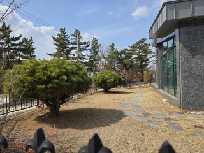 영천시 오미동 368-35 단독주택 경매 물건 사진