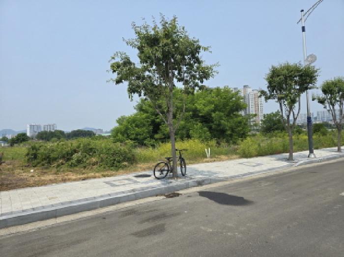 영천시 완산동 726 과수원 경매 물건 사진