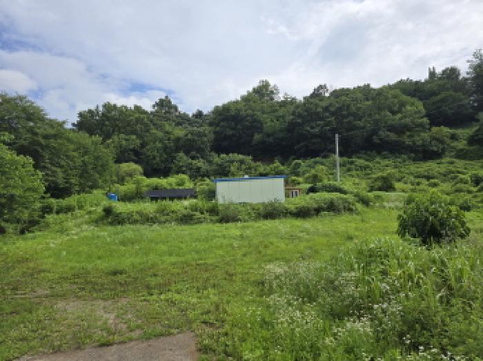 영천시 고경면 삼산리 전 경매 물건 사진