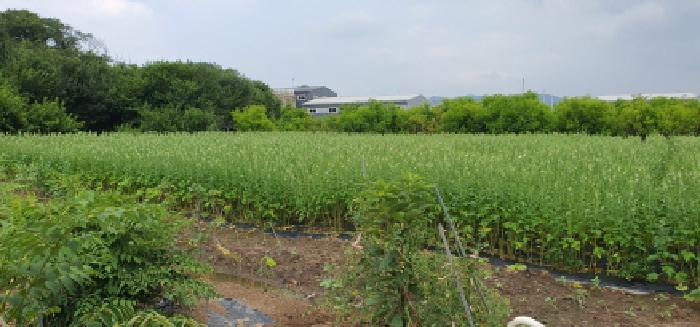 경산시 압량읍 가일리 전 경매 물건 사진