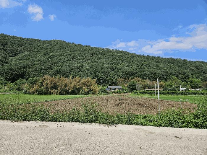 경산시 와촌면 계전리 답 경매 물건 사진