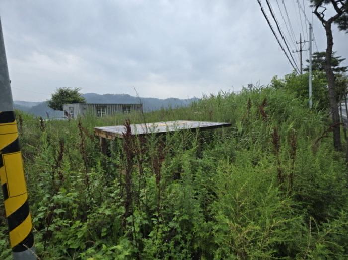 영천시 고경면 창하리 대지,임야,전답 경매 물건 사진