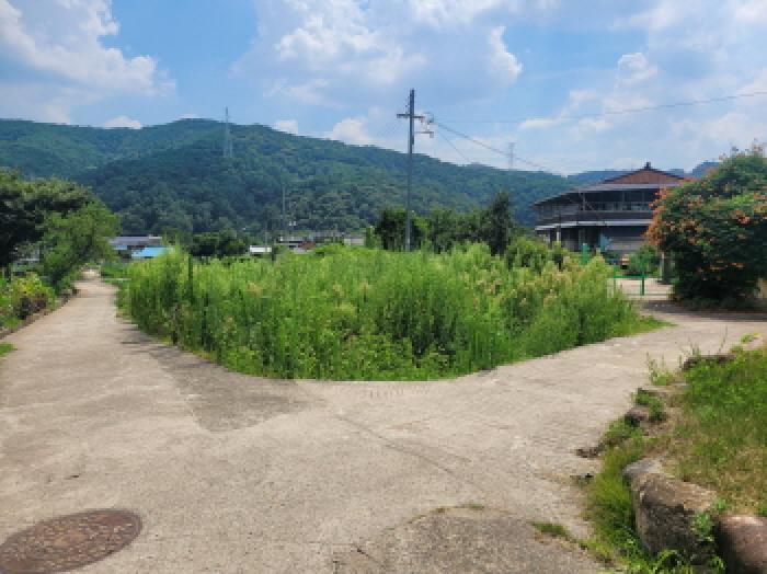 동구 백안동 221 답 경매 물건 사진