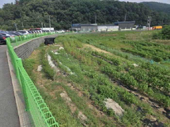 영천시 금호읍 신월리 답 경매 물건 사진