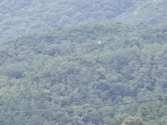영천시 화북면 옥계리 임야 경매 물건 사진