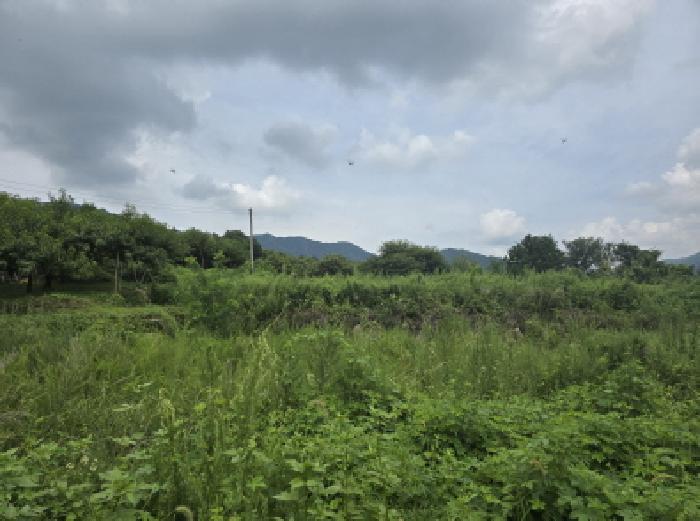 경산시 와촌면 강학리 대지 경매 물건 사진