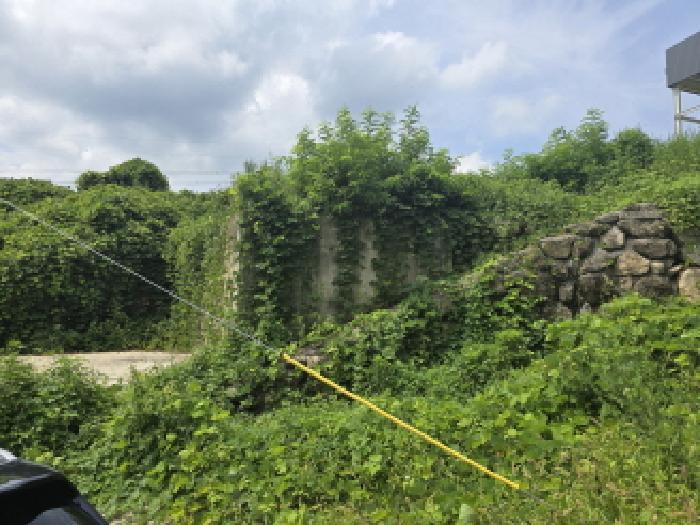 경산시 와촌면 음양리 과수원 경매 물건 사진