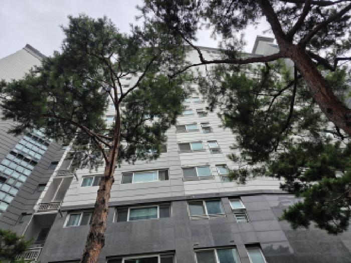 수성구 상동 555 아파트 경매 물건 사진