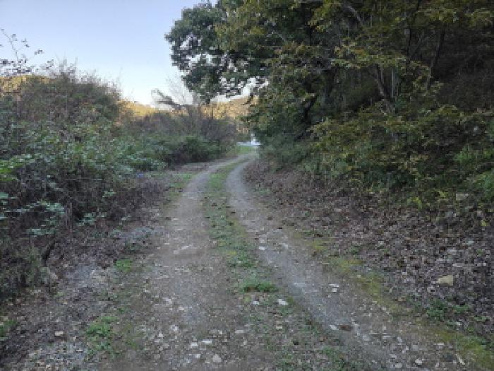 청도군 풍각면 성곡리 전답 경매 물건 사진
