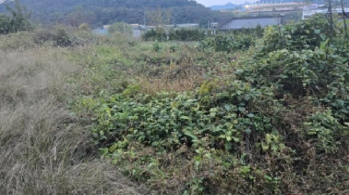 칠곡군 왜관읍 매원리 전 경매 물건 사진