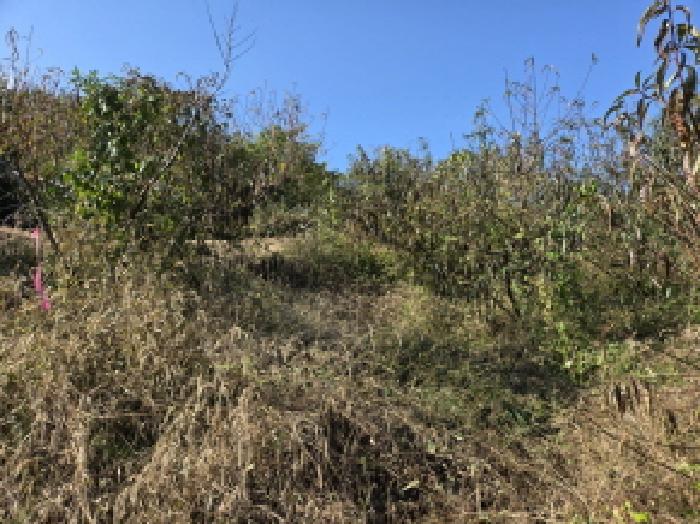 경산시 남산면 전지리 대지,임야,전답 경매 물건 사진
