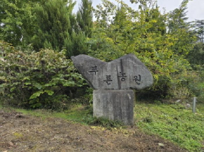 영천시 오미동 산25 임야 경매 물건 사진