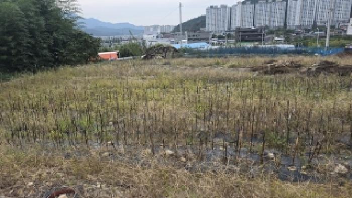 칠곡군 석적읍 남율리 대지 경매 물건 사진
