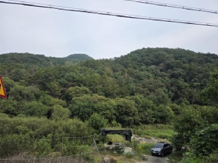 청도군 운문면 봉하리 임야 경매 물건 사진