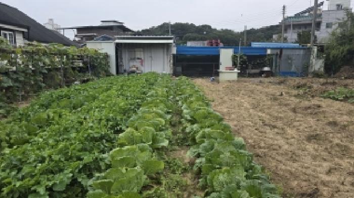 칠곡군 석적읍 남율리 대지 경매 물건 사진