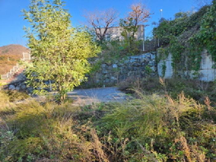 칠곡군 석적읍 성곡리 대지,임야,전답 경매 물건 사진