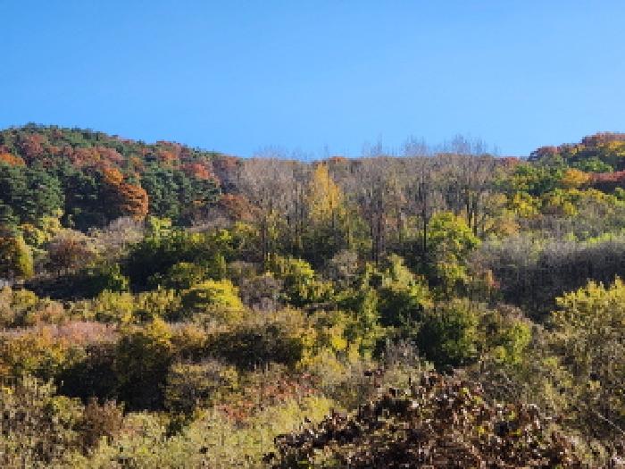 칠곡군 가산면 가산리 전 경매 물건 사진