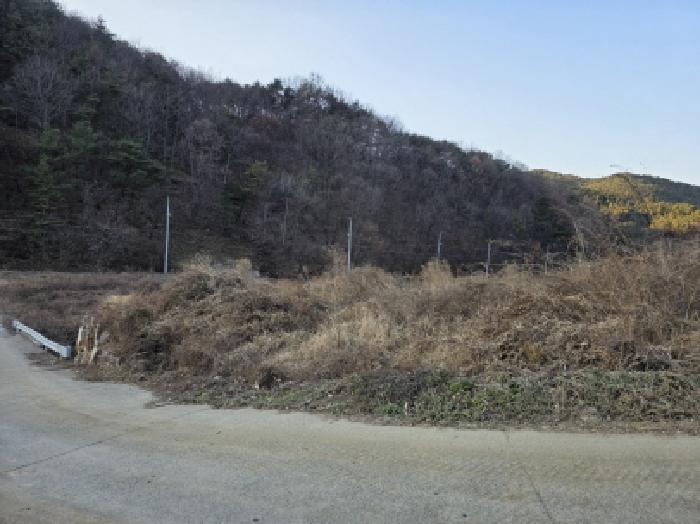 청도군 풍각면 성곡리 상가주택 경매 물건 사진