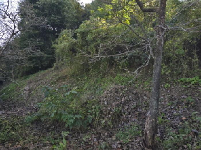 경산시 와촌면 신한리 임야 경매 물건 사진