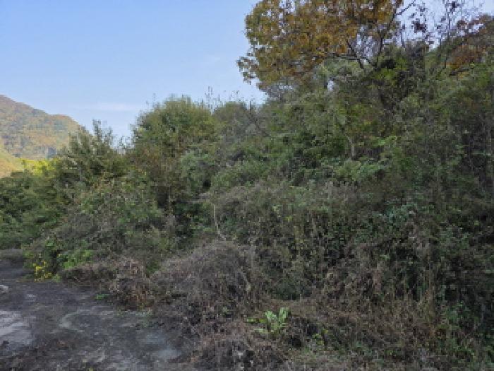 청도군 매전면 하평리 전 경매 물건 사진