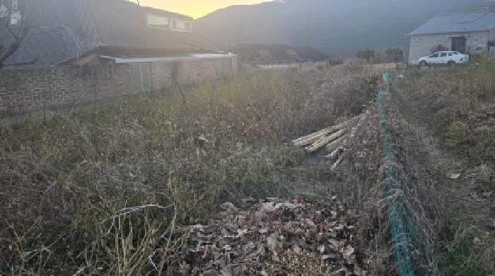 칠곡군 동명면 남원리 전답 경매 물건 사진