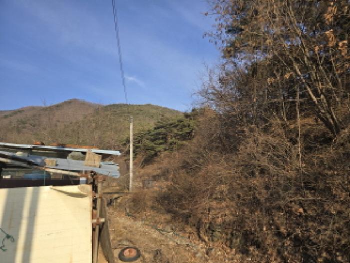 영천시 임고면 사리 임야 경매 물건 사진