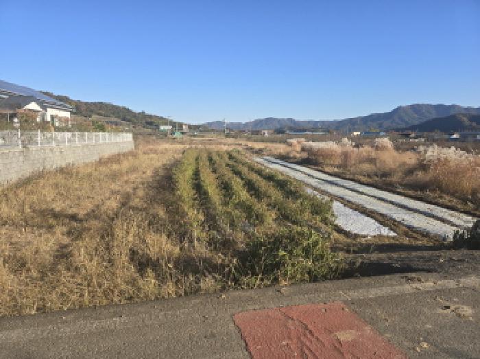 영천시 금호읍 관정리 전답 경매 물건 사진