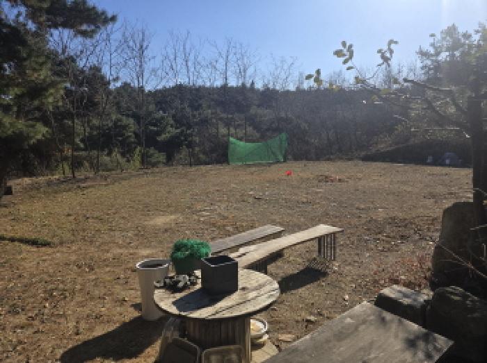 경산시 와촌면 대동리 대지,임야,전답 경매 물건 사진