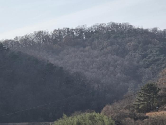 영천시 화남면 월곡리 임야 경매 물건 사진