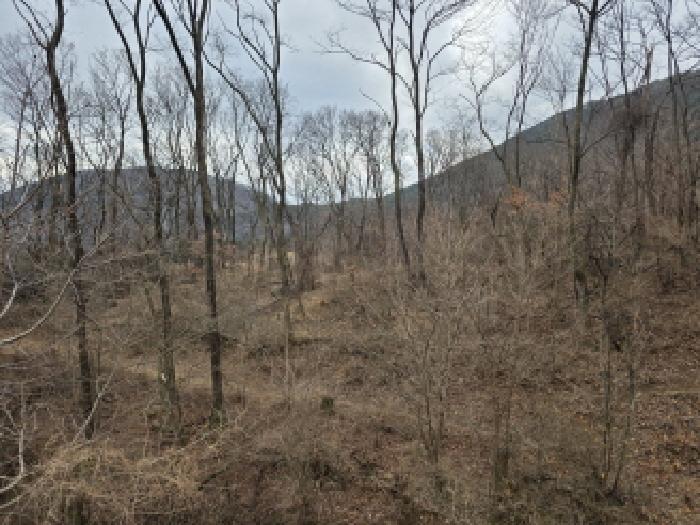 동구 덕곡동 336-1 전답 경매 물건 사진