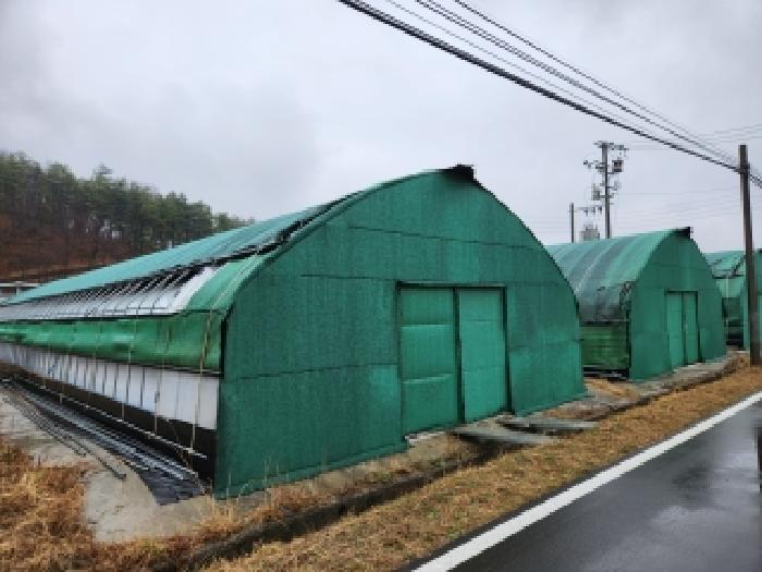 영천시 고경면 차당리 전답 경매 물건 사진