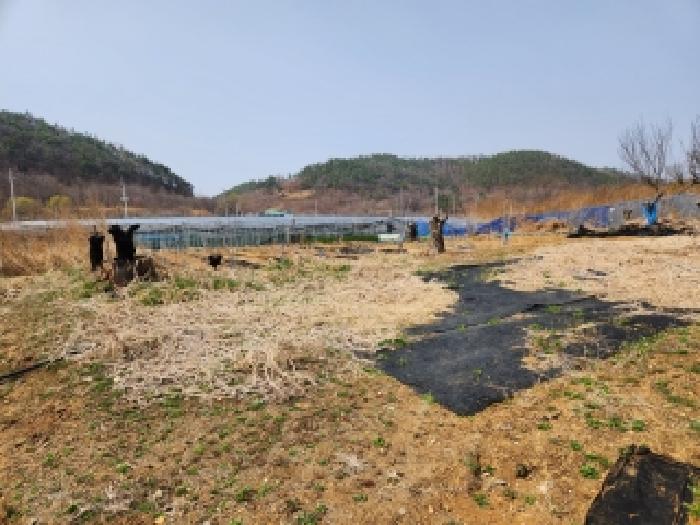 영천시 화남면 선천리 대지,임야,전답 경매 물건 사진