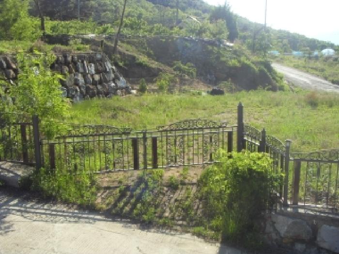 칠곡군 석적읍 성곡리 임야 경매 물건 사진