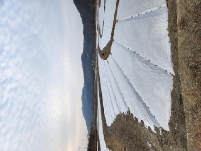 영천시 신녕면 부산리 전답 경매 물건 사진