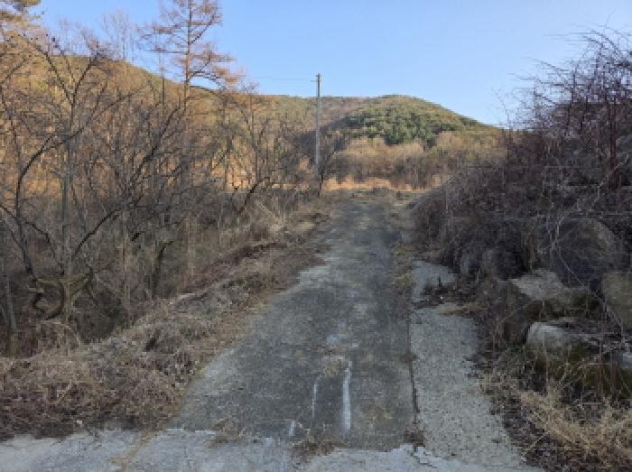 청도군 풍각면 성곡리 과수원 경매 물건 사진