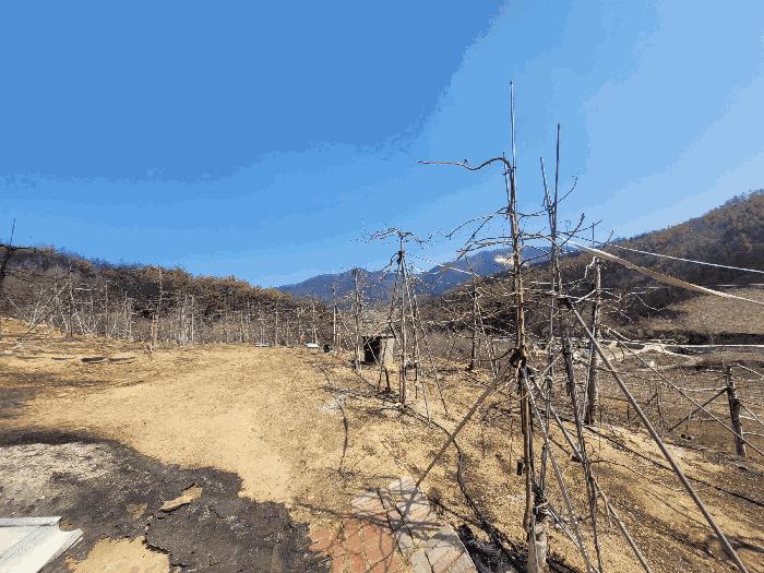 안동시 길안면 배방리 전 경매 물건 사진