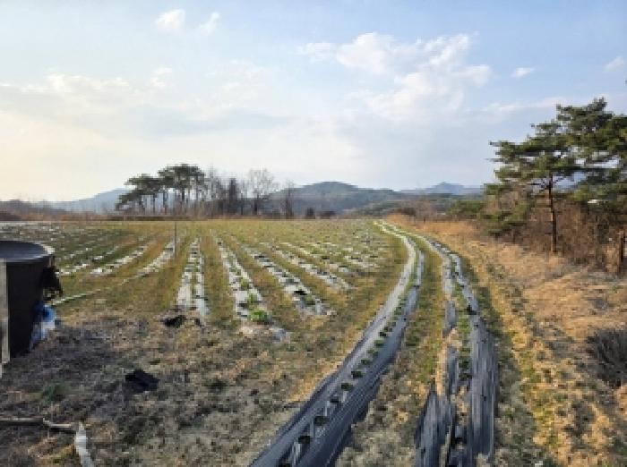 안동시 풍산읍 괴정리 전 경매 물건 사진