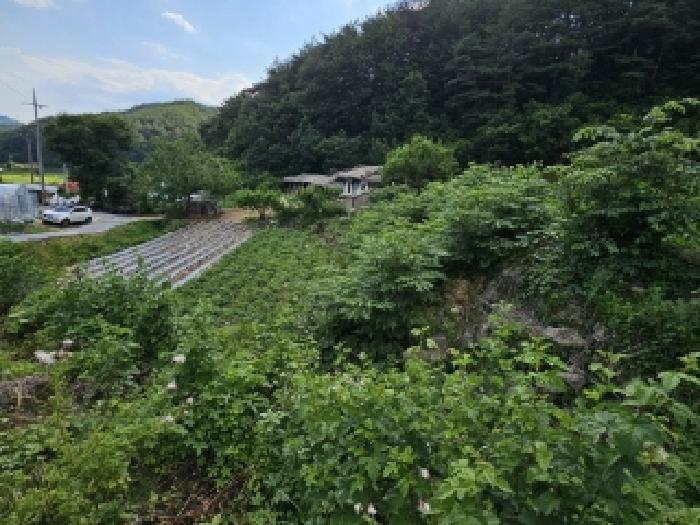 봉화군 법전면 눌산리 전 경매 물건 사진