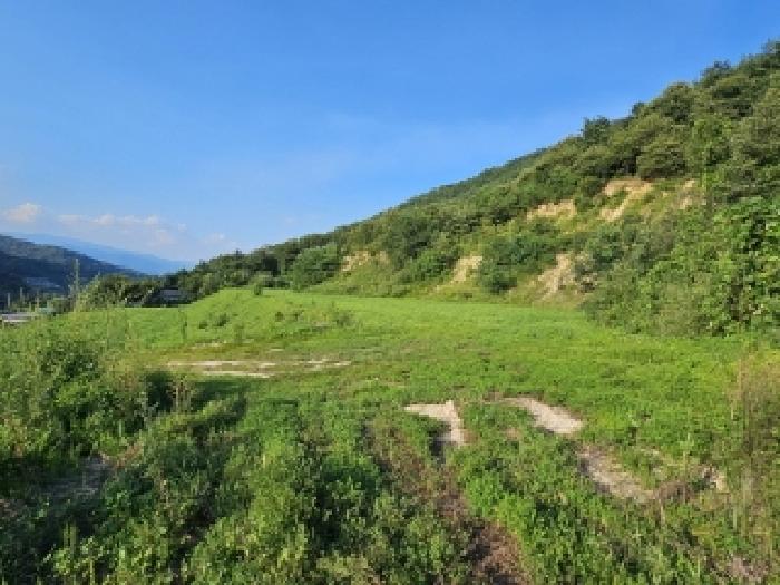 영주시 봉현면 한천리 과수원 경매 물건 사진